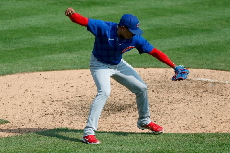 Aug 23, 2023; Detroit, Michigan, USA;  Chicago Cubs relief pitcher Adbert Alzolay (73) celebrates after defeating the Detroit Tigers at Comerica Park. Mandatory Credit: Rick Osentoski-USA TODAY Sports