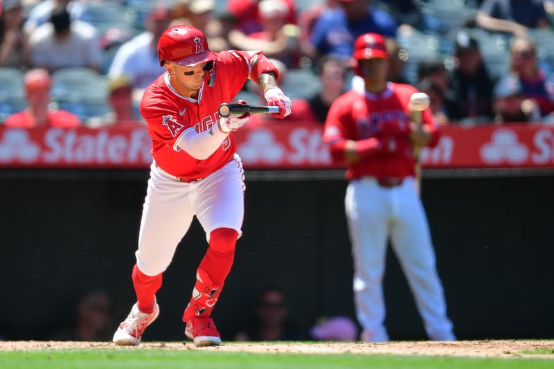 May 26, 2024; Anaheim, California, USA; Los Angeles Angels shortstop Zach Neto (9) lays down a bunt to reach first against the Cleveland Guardians during the fifth inning at Angel Stadium. Mandatory Credit: Gary A. Vasquez-USA TODAY Sports