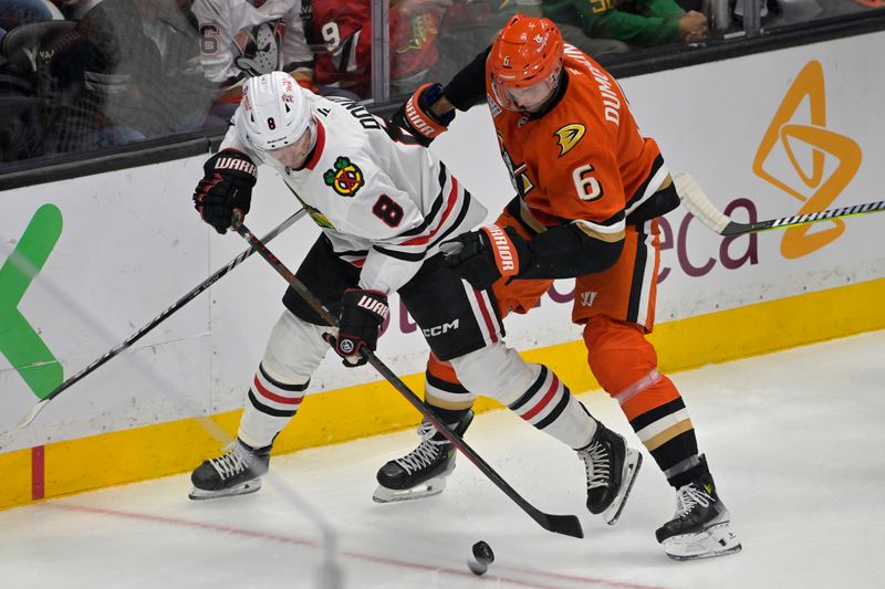 Nov 3, 2024; Anaheim, California, USA;  Chicago Blackhawks center Ryan Donato (8) and Anaheim Ducks defenseman Brian Dumoulin (6) battle along the boards in the first period at Honda Center. Mandatory Credit: Jayne Kamin-Oncea-Imagn Images