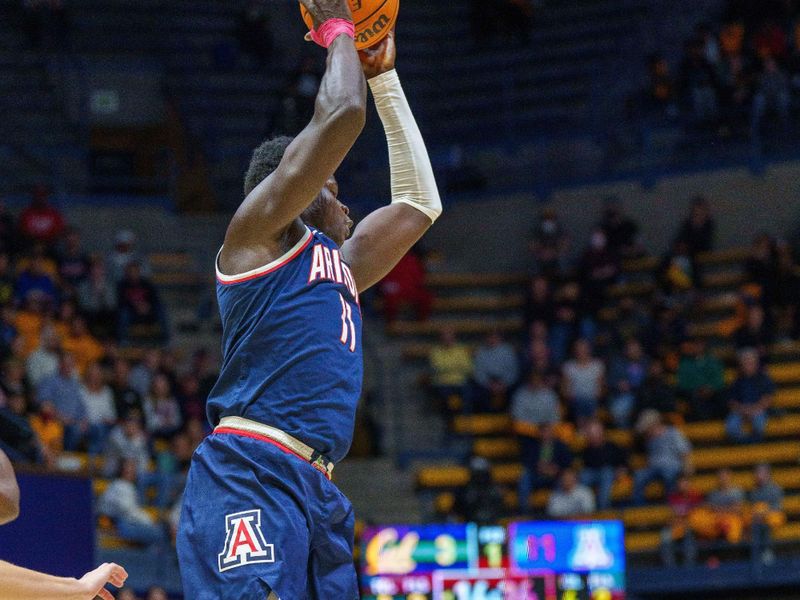 Feb 9, 2023; Berkeley, California, USA; Arizona Wildcats center Oumar Ballo (11) brings in the rebound against the California Golden Bears during the first half at Haas Pavilion. Mandatory Credit: Neville E. Guard-USA TODAY Sports