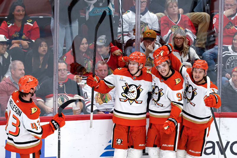 Nov 19, 2024; Chicago, Illinois, USA; Anaheim Ducks center Leo Carlsson (91) celebrates with teammates after scoring a goal against the Chicago Blackhawks during the third period at United Center. Mandatory Credit: Kamil Krzaczynski-Imagn Images