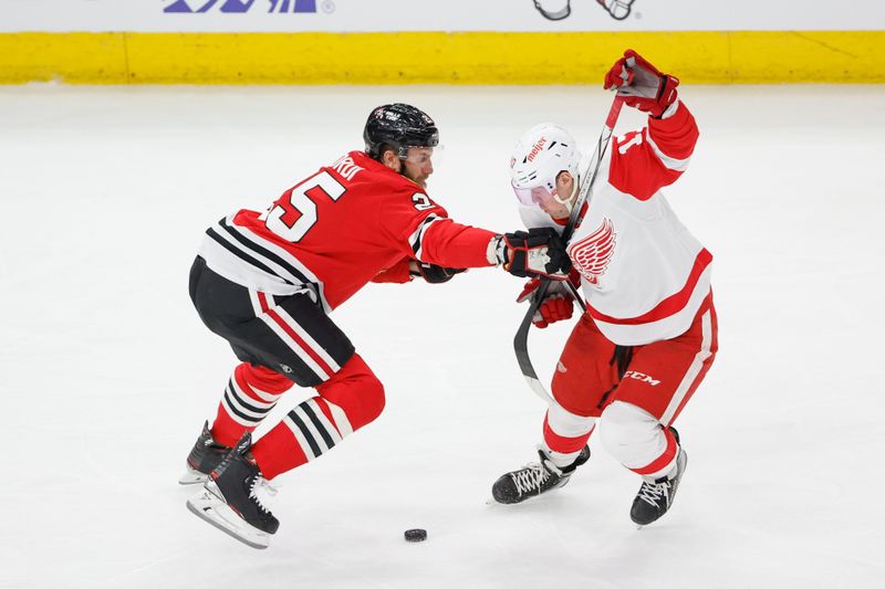 Feb 25, 2024; Chicago, Illinois, USA; Chicago Blackhawks defenseman Jarred Tinordi (25) battles for the puck with Detroit Red Wings right wing Daniel Sprong (17) during the second period at United Center. Mandatory Credit: Kamil Krzaczynski-USA TODAY Sports