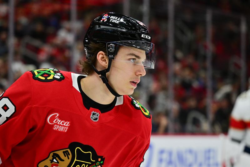 Nov 21, 2024; Chicago, Illinois, USA; Chicago Blackhawks center Connor Bedard (98) looks on against the Florida Panthers during the second period at the United Center. Mandatory Credit: Daniel Bartel-Imagn Images