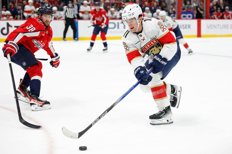 Jan 17, 2026; Washington, District of Columbia, USA;  Florida Panthers right wing MacKie Samoskevich (11) reaches for the puck as Washington Capitals defenseman Rasmus Sandin (38) defends during the second periodat Capital One Arena. Mandatory Credit: Geoff Burke-Imagn Images