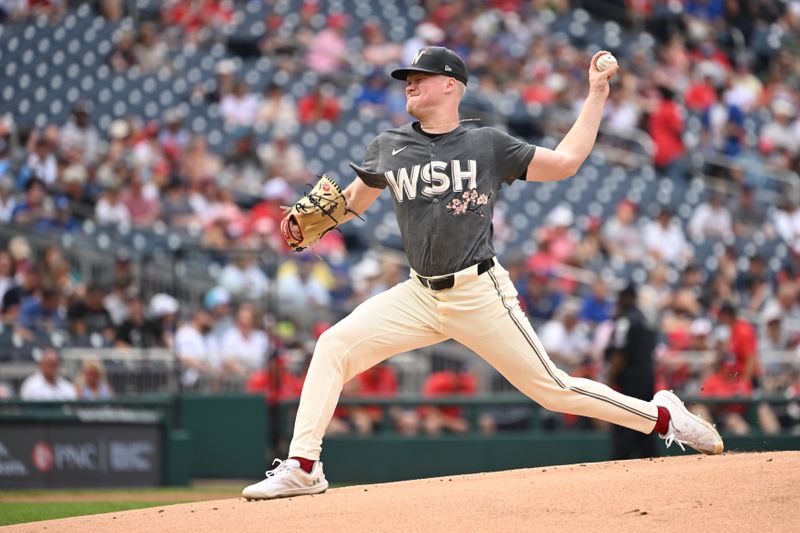 Aug 31, 2024; Washington, District of Columbia, USA; Washington Nationals starting pitcher DJ Herz (74) throws a pitch against the Chicago Cubs during the first inning at Nationals Park. Mandatory Credit: Rafael Suanes-USA TODAY Sports