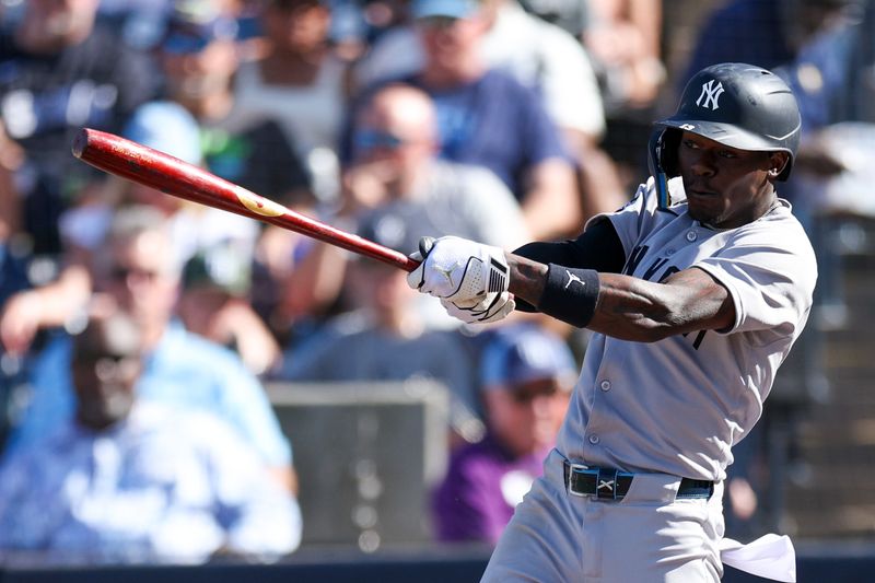 Apr 19, 2025; Tampa, Florida, USA; New York Yankees second baseman Jazz Chisholm Jr. (13)n uses a torpedo bat against the Tampa Bay Rays in the third inning at George M. Steinbrenner Field. Mandatory Credit: Nathan Ray Seebeck-Imagn Images