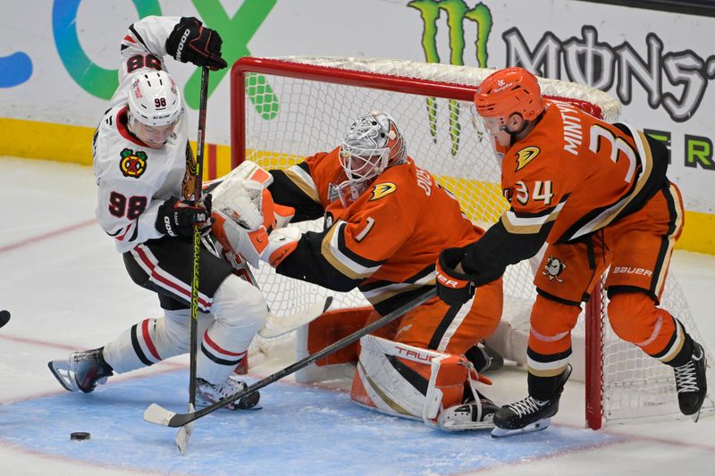 Nov 3, 2024; Anaheim, California, USA;  Chicago Blackhawks center Connor Bedard (98) Anaheim Ducks goaltender Lukas Dostal (1) and defenseman Pavel Mintyukov (34) battle for the puck in the second period at Honda Center. Mandatory Credit: Jayne Kamin-Oncea-Imagn Images