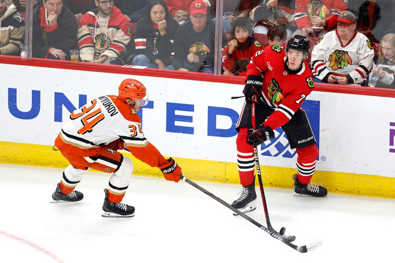 Nov 19, 2024; Chicago, Illinois, USA; Chicago Blackhawks defenseman Alex Vlasic (72) battles for the puck with Anaheim Ducks defenseman Pavel Mintyukov (34) during the first period at United Center. Mandatory Credit: Kamil Krzaczynski-Imagn Images