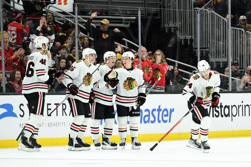Apr 10, 2025; Boston, Massachusetts, USA; Chicago Blackhawks defenseman Kevin Korchinski (14) skates to the bench after scoring a goal during the third period against the Boston Bruins at TD Garden. Mandatory Credit: Bob DeChiara-Imagn Images