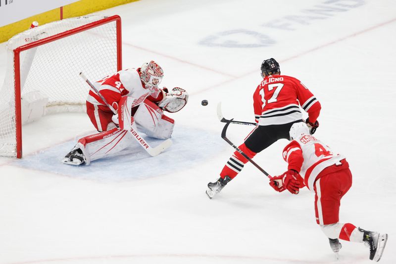 Feb 25, 2024; Chicago, Illinois, USA; Detroit Red Wings goaltender James Reimer (47) defends against the Chicago Blackhawks during the first period at United Center. Mandatory Credit: Kamil Krzaczynski-USA TODAY Sports