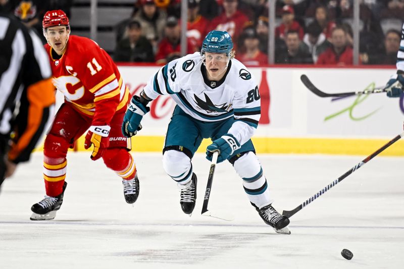 Feb 15, 2024; Calgary, Alberta, CAN; San Jose Sharks left wing Fabian Zetterlund (20) skates during the first period at Scotiabank Saddledome. Mandatory Credit: Brett Holmes-USA TODAY Sports