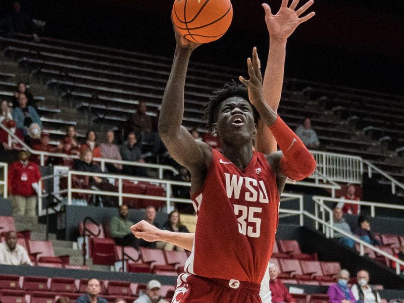 Cougars Claw Their Way to Maples Pavilion: A Test of Tenacity