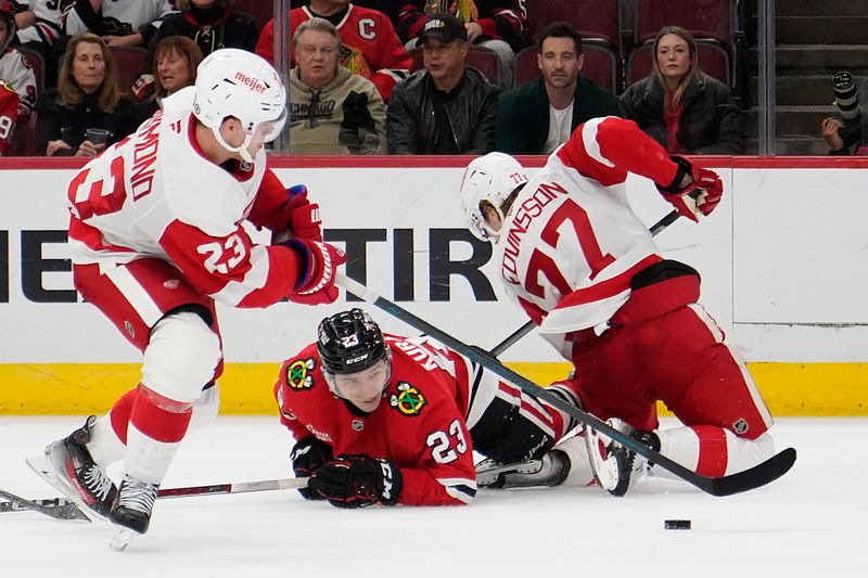 Nov 6, 2024; Chicago, Illinois, USA; Detroit Red Wings left wing Lucas Raymond (23) defenseman Simon Edvinsson (77)  and Chicago Blackhawks center Philipp Kurashev (23) go for the puck during the third period at United Center. Mandatory Credit: David Banks-Imagn Images