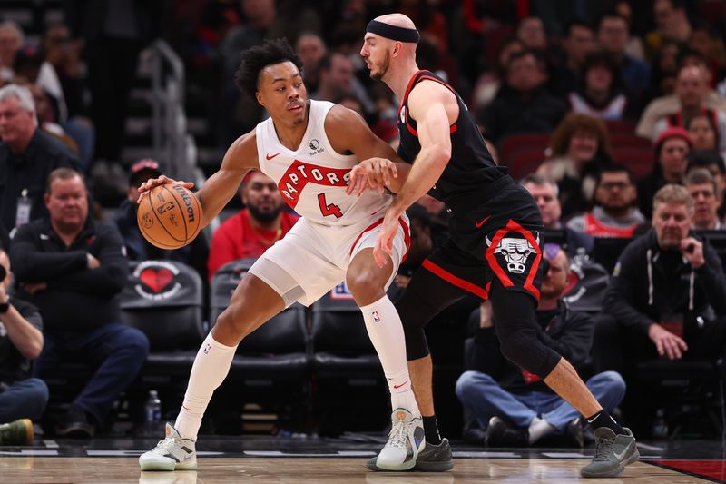 CHICAGO, ILLINOIS - JANUARY 30: Scottie Barnes #4 of the Toronto Raptors dribbles against Alex Caruso #6 of the Chicago Bulls during the first half at the United Center on January 30, 2024 in Chicago, Illinois. NOTE TO USER: User expressly acknowledges and agrees that, by downloading and or using this photograph, User is consenting to the terms and conditions of the Getty Images License Agreement.  (Photo by Michael Reaves/Getty Images)