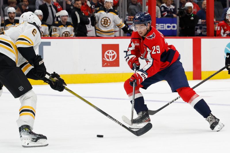 Oct 5, 2024; Washington, District of Columbia, USA; Washington Capitals center Hendrix Lapierre (29) skates with the puck as Boston Bruins defenseman Mason Lohrei (6) defends in the third period at Capital One Arena. Mandatory Credit: Geoff Burke-Imagn Images