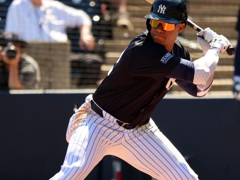 Feb 26, 2024; Tampa, Florida, USA;  New York Yankees left fielder Juan Soto (22) at bat during the first inning against the Minnesota Twins at George M. Steinbrenner Field. Mandatory Credit: Kim Klement Neitzel-USA TODAY Sports