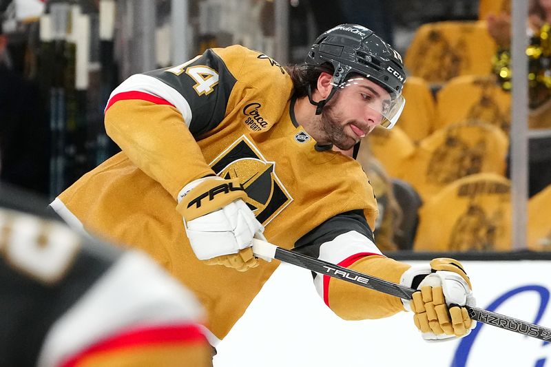 Apr 1, 2025; Las Vegas, Nevada, USA; Vegas Golden Knights defenseman Nicolas Hague (14) warms up before a game against the Edmonton Oilers at T-Mobile Arena. Mandatory Credit: Stephen R. Sylvanie-Imagn Images