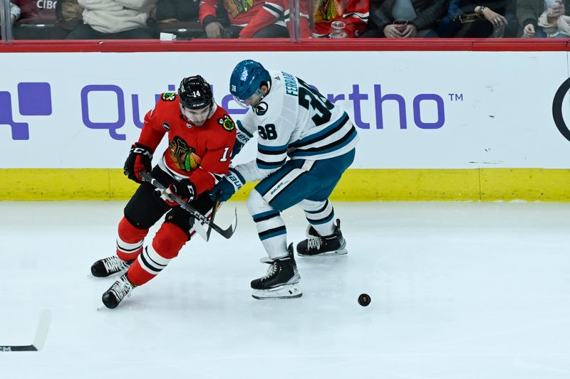 Jan 16, 2024; Chicago, Illinois, USA; Chicago Blackhawks left wing Boris Katchouk (14) and San Jose Sharks defenseman Mario Ferraro (38) fight for the puck during the second period at United Center. Mandatory Credit: Matt Marton-USA TODAY Sports