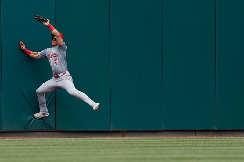 Jul 21, 2024; Washington, District of Columbia, USA; Cincinnati Reds outfielder Stuart Fairchild (17) catches a fly ball by Washington Nationals outfielder James Wood (not pictured) while running into the centerfield wall during the sixth inning at Nationals Park. Mandatory Credit: Geoff Burke-USA TODAY Sports