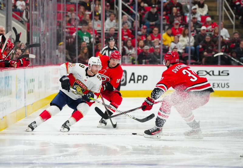 Nov 29, 2024; Raleigh, North Carolina, USA;  Florida Panthers center Sam Bennett (9) cuts with the puck against Carolina Hurricanes center Jack Drury (18) and right wing Andrei Svechnikov (37) during the third period at Lenovo Center. Mandatory Credit: James Guillory-Imagn Images