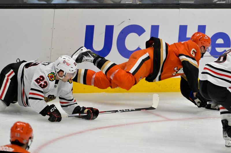 Nov 3, 2024; Anaheim, California, USA;  Chicago Blackhawks center Philipp Kurashev (23) is called for a hooking penalty on Anaheim Ducks defenseman Brian Dumoulin (6) in the second period at Honda Center. Mandatory Credit: Jayne Kamin-Oncea-Imagn Images