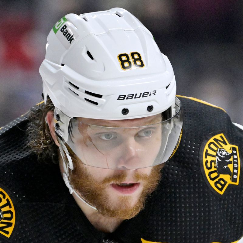 NHL Boston Bruins right wing David Pastrnak