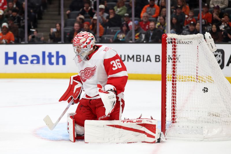 Oct 31, 2025; Anaheim, California, USA;  Detroit Red Wings goaltender John Gibson (36) gives up a goal during the second period against the Anaheim Ducks at Honda Center. Mandatory Credit: Kiyoshi Mio-Imagn Images