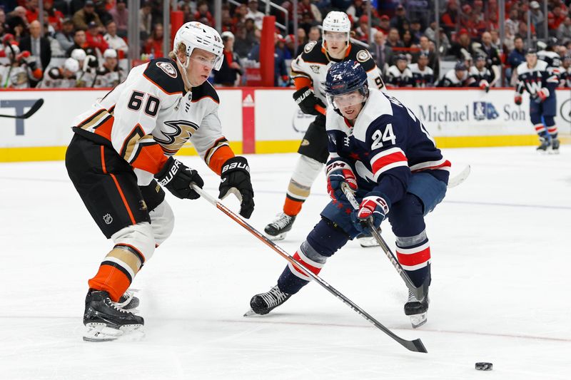 Jan 16, 2024; Washington, District of Columbia, USA; Washington Capitals center Connor McMichael (24) and Anaheim Ducks defenseman Jackson LaCombe (60) battle for the puck in the third period at Capital One Arena. Mandatory Credit: Geoff Burke-USA TODAY Sports