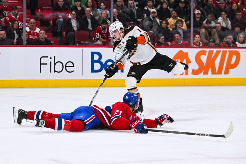 Feb 13, 2024; Montreal, Quebec, CAN; Montreal Canadiens defenseman Kaiden Guhle (21) attempts to block a shot form Anaheim Ducks right wing Troy Terry (19) during the third period at Bell Centre. Mandatory Credit: David Kirouac-USA TODAY Sports