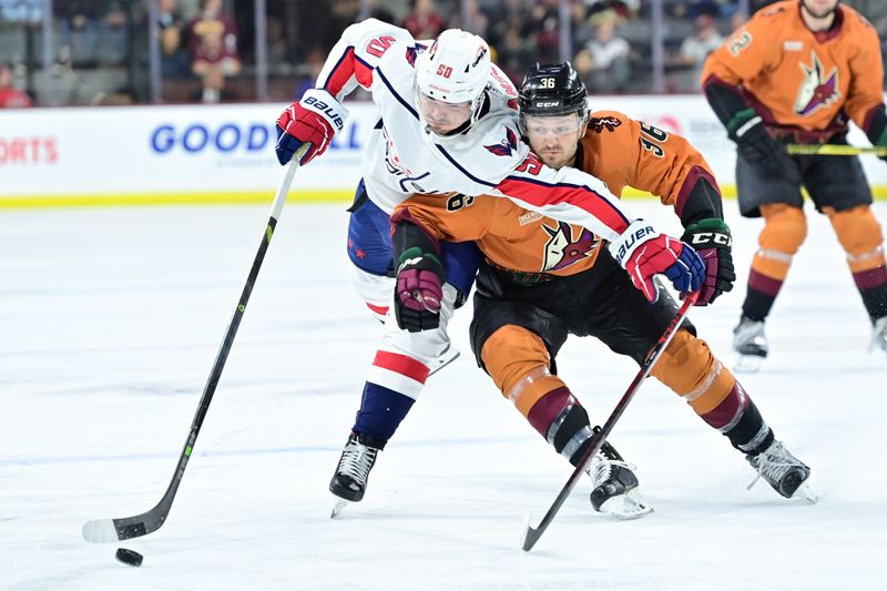 Jan 19, 2023; Tempe, Arizona, USA; Washington Capitals left wing Marcus Johansson (90) and Arizona Coyotes right wing Christian Fischer (36) battle for the puck in the first period at Mullett Arena. Mandatory Credit: Matt Kartozian-USA TODAY Sports