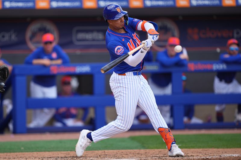 Mar 23, 2024; Port St. Lucie, Florida, USA;  New York Mets designated hitter Mark Vientos (27) singles to center field and drives in a run against the Houston Astros in the fourth  inning at Clover Park. Mandatory Credit: Jim Rassol-USA TODAY Sports