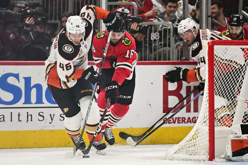 Dec 7, 2023; Chicago, Illinois, USA; Anaheim Ducks defenseman Ilya Lyubushkin (46) and Chicago Blackhawks forward Jason Dickinson (16) battle for control of the puck in the first period at United Center. Mandatory Credit: Jamie Sabau-USA TODAY Sports