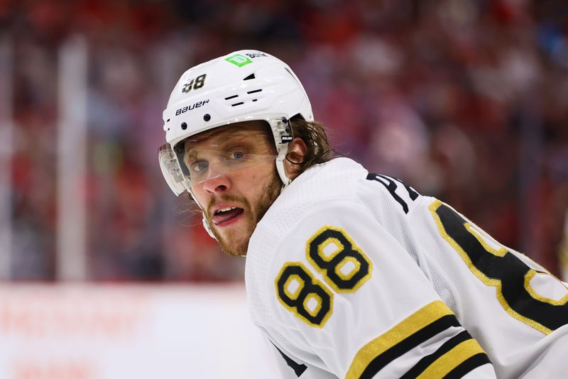 May 14, 2024; Sunrise, Florida, USA; Boston Bruins right wing David Pastrnak (88) looks on against the Florida Panthers during the third period in game five of the second round of the 2024 Stanley Cup Playoffs at Amerant Bank Arena. Mandatory Credit: Sam Navarro-USA TODAY Sports