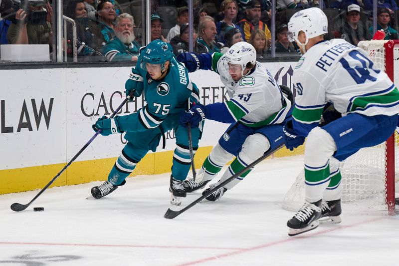 Nov 2, 2024; San Jose, California, USA; San Jose Sharks left wing Danil Gushchin (75) controls the puck against Vancouver Canucks defenseman Quinn Hughes (43) and center Elias Pettersson (40) during the second period at SAP Center at San Jose. Mandatory Credit: Robert Edwards-Imagn Images