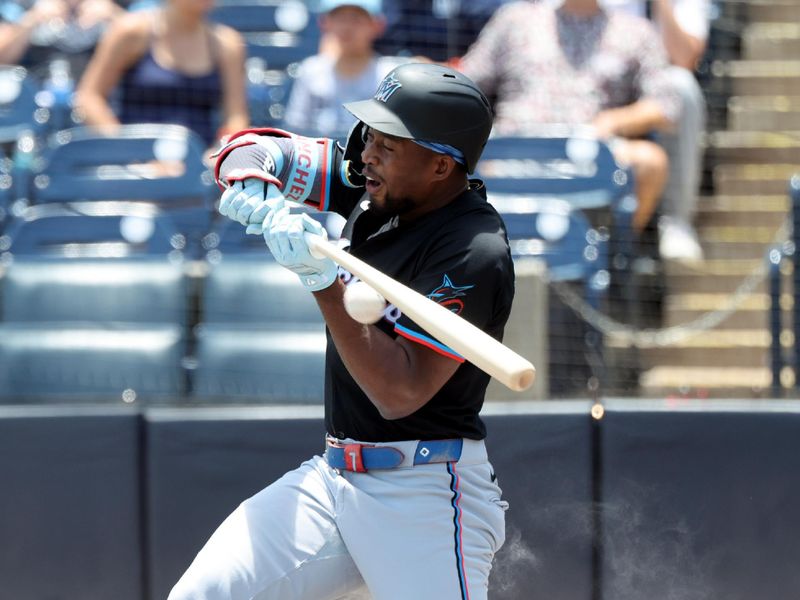 Jun 6, 2025; St. Petersburg, Florida, USA;  Miami Marlins designated hitter Jesus Sanchez (7) fouls the ball off the bat that hits his arm during the first inning against the Tampa Bay Rays at George M. Steinbrenner Field. Mandatory Credit: Kim Klement Neitzel-Imagn Images