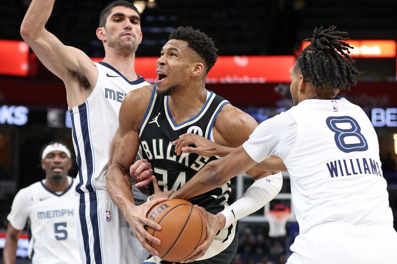 MEMPHIS, TENNESSEE - FEBRUARY 15: Giannis Antetokounmpo #34 of the Milwaukee Bucks drives to the basket between Santi Aldama #7 of the Memphis Grizzlies and Ziaire Williams #8 of the Memphis Grizzlies during the first half at FedExForum on February 15, 2024 in Memphis, Tennessee. NOTE TO USER: User expressly acknowledges and agrees that, by downloading and or using this photograph, User is consenting to the terms and conditions of the Getty Images License Agreement. (Photo by Justin Ford/Getty Images)