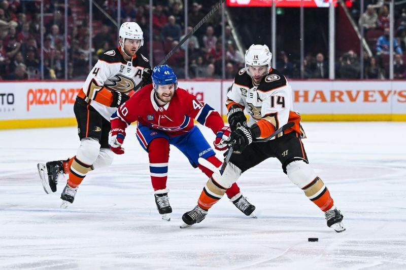 Feb 13, 2024; Montreal, Quebec, CAN; Anaheim Ducks center Adam Henrique (14) plays the puck agianst Montreal Canadiens right wing Joel Armia (40) during the first period at Bell Centre. Mandatory Credit: David Kirouac-USA TODAY Sports