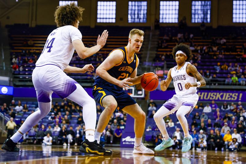 Jan 14, 2023; Seattle, Washington, USA; California Golden Bears forward Lars Thiemann (21) dribbles between Washington Huskies center Braxton Meah (34) and guard Koren Johnson (0) during the second half at Alaska Airlines Arena at Hec Edmundson Pavilion. Mandatory Credit: Joe Nicholson-USA TODAY Sports