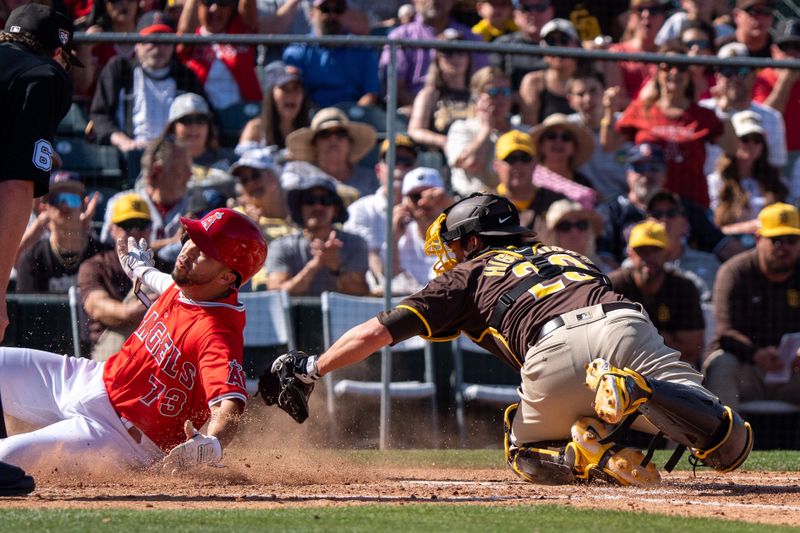 Mar 10, 2024; Tempe, Arizona, USA; Los Angeles Angels infielder Anthony Rendon (23) slides to score while San Diego Padres catcher Brett Sullivan (29) attempts to tag him in the sixth inning during a spring training game at Tempe Diablo Stadium. Mandatory Credit: Allan Henry-USA TODAY Sports