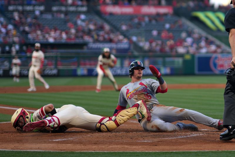 May 14, 2024; Anaheim, California, USA; St. Louis Cardinals second baseman Nolan Gorman (16) slides into home plate to score in the second inning as Los Angeles Angels catcher Logan O'Hoppe (14) watches at Angel Stadium. Mandatory Credit: Kirby Lee-USA TODAY Sports