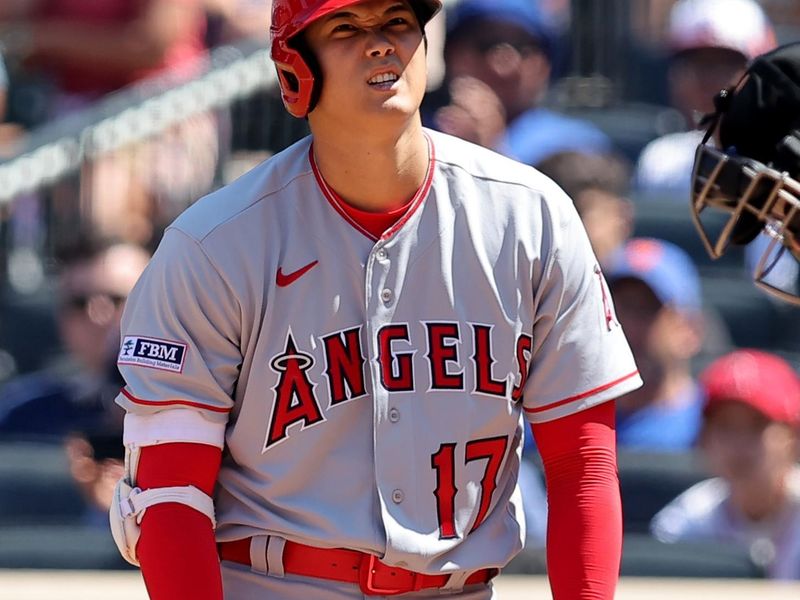 Aug 27, 2023; New York City, New York, USA; Los Angeles Angels designated hitter Shohei Ohtani (17) winces after fouling a ball off his shin during the sixth inning against the New York Mets at Citi Field. Mandatory Credit: Brad Penner-USA TODAY Sports