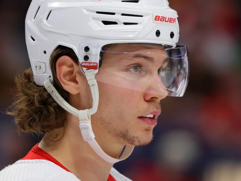 Dec 5, 2023; Buffalo, New York, USA;  Detroit Red Wings defenseman Moritz Seider (53) during a stoppage in play against the Buffalo Sabres during the second period at KeyBank Center. Mandatory Credit: Timothy T. Ludwig-USA TODAY Sports