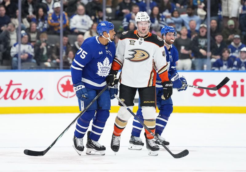 Feb 17, 2024; Toronto, Ontario, CAN; Toronto Maple Leafs right wing Ryan Reaves (75) talks with Anaheim Ducks left wing Ross Johnston (44) during the third period at Scotiabank Arena. Mandatory Credit: Nick Turchiaro-USA TODAY Sports