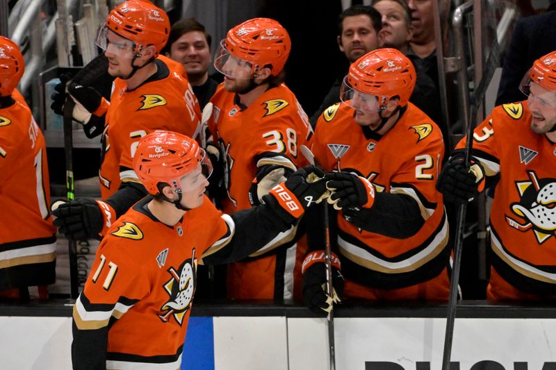 Jan 25, 2025; Anaheim, California, USA; Anaheim Ducks center Trevor Zegras (11) is congratulated at the bench after scoring a goal in the second period against the Nashville Predators at Honda Center. Mandatory Credit: Jayne Kamin-Oncea-Imagn Images