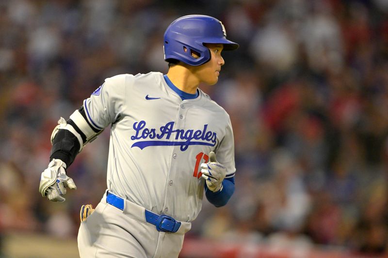 Sep 4, 2024; Anaheim, California, USA;  Los Angeles Dodgers designated hitter Shohei Ohtani (17) flies out in the third inning against the Los Angeles Angels at Angel Stadium. Mandatory Credit: Jayne Kamin-Oncea-Imagn Images