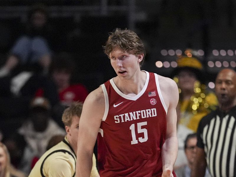 Feb 14, 2026; Winston-Salem, North Carolina, USA; Stanford Cardinal forward Oskar Giltay (15) handles the ball against the Wake Forest Demon Deacons  during the first half at Lawrence Joel Veterans Memorial Coliseum. Mandatory Credit: Jim Dedmon-Imagn Images
