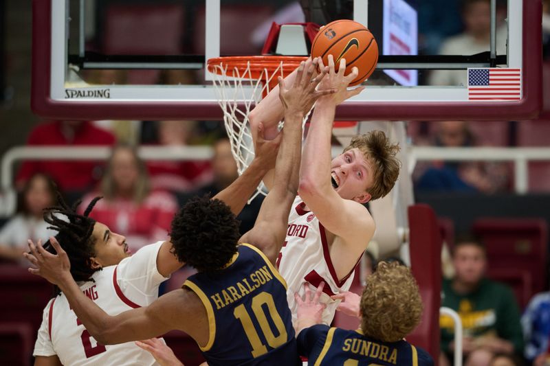 Dec 30, 2025; Stanford, California, USA; Stanford Cardinal center Oskar Giltay (15) vies for a rebound against Notre Dame Fighting Irish guard Jalen Haralson (10) during the second half at Maples Pavilion. Mandatory Credit: Robert Edwards-Imagn Images