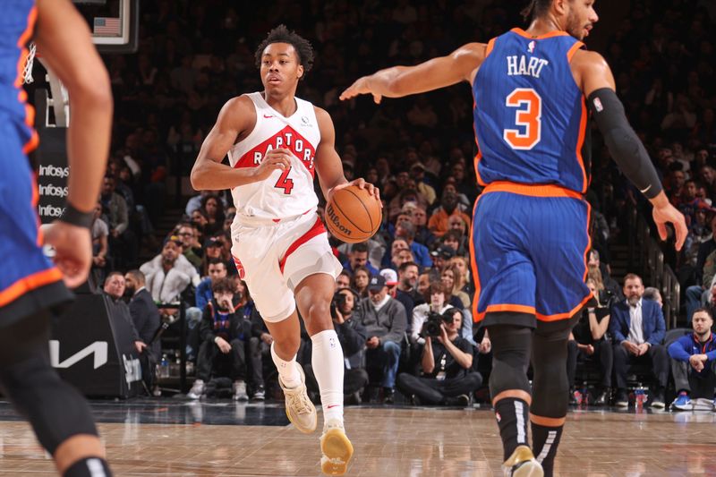 NEW YORK, NY - JANUARY 20: Scottie Barnes #4 of the Toronto Raptors dribbles the ball during the game against the New York Knicks on January 20, 2024 at Madison Square Garden in New York City, New York.  NOTE TO USER: User expressly acknowledges and agrees that, by downloading and or using this photograph, User is consenting to the terms and conditions of the Getty Images License Agreement. Mandatory Copyright Notice: Copyright 2024 NBAE  (Photo by Nathaniel S. Butler/NBAE via Getty Images)