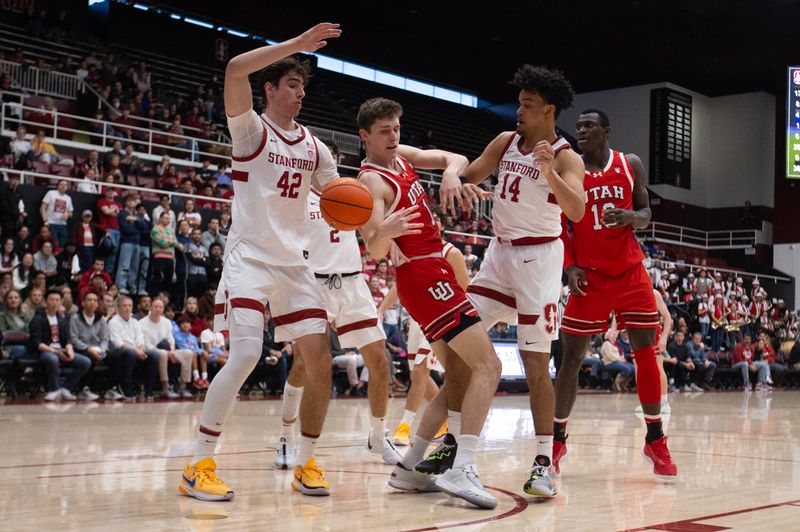 Jan 14, 2024; Stanford, California, USA; Utah Utes forward Ben Carlson (1) loses an offensive rebound out of bounds between Stanford Cardinal defenders Maxime Raynaud (42) and Spencer Jones (14) during the first half at Maples Pavilion. Mandatory Credit: D. Ross Cameron-USA TODAY Sports