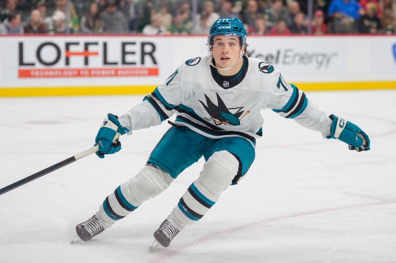 Nov 11, 2025; Saint Paul, Minnesota, USA; San Jose Sharks center Macklin Celebrini (71) presses the Minnesota Wild defense in the third period at Grand Casino Arena. Mandatory Credit: Matt Blewett-Imagn Images